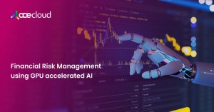 Financial risk management