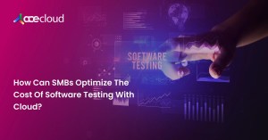 How-Can-SMBs-Optimize-The-Cost-Of-Software-Testing-With-Cloud