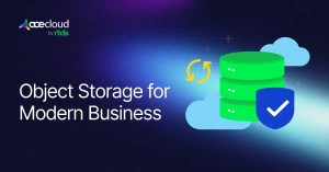 Business Needs Object Storage